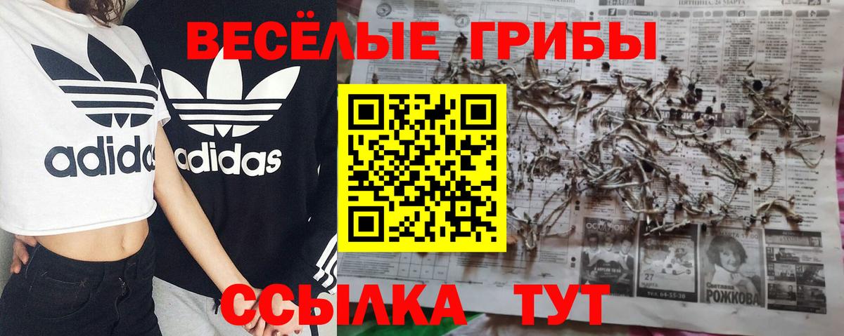 Гусев  Галлюциногенные грибы мицелий  как найти закладки  Вход с VPN 